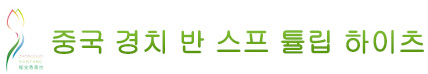 중국 半汤 튤립 고지 관광지